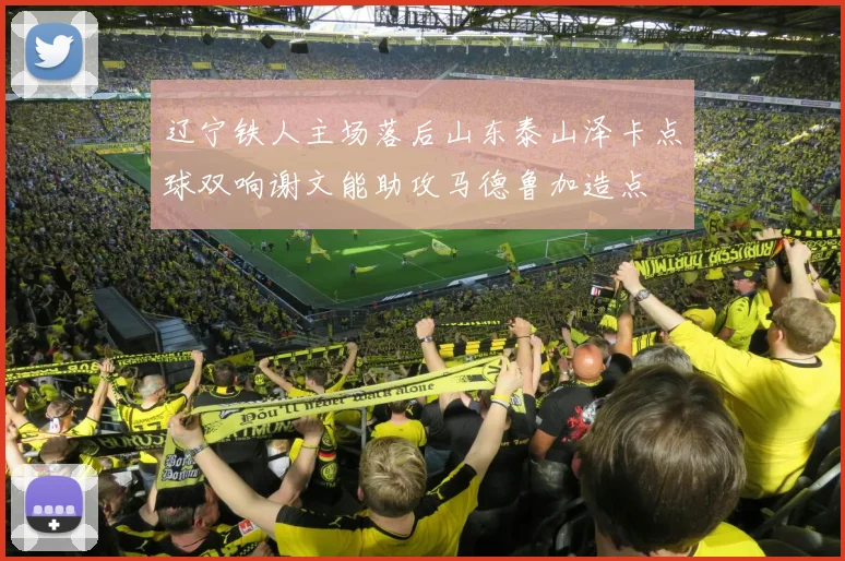 辽宁铁人主场落后山东泰山泽卡点球双响谢文能助攻马德鲁加造点